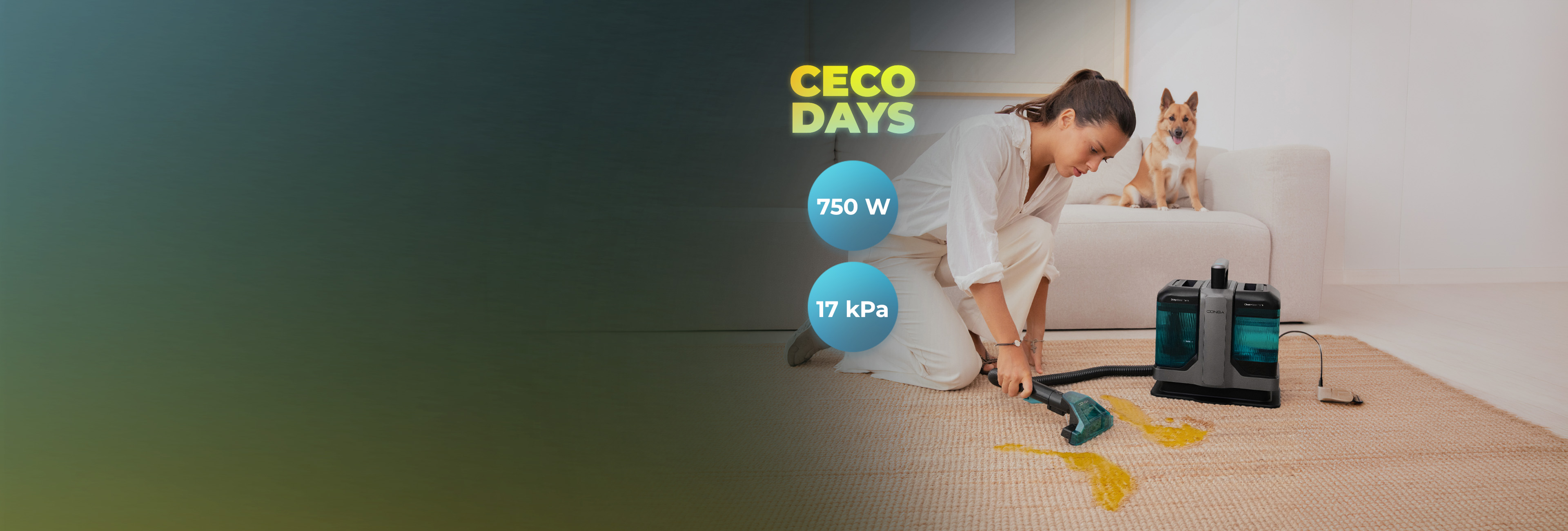 Background Desktop