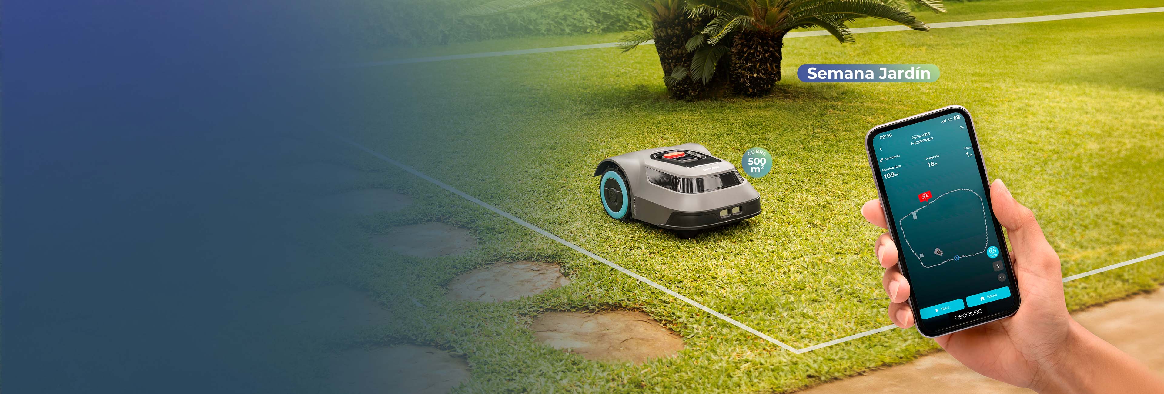 Background Desktop