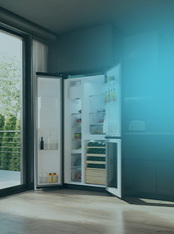 Piccolo elettrodomestico